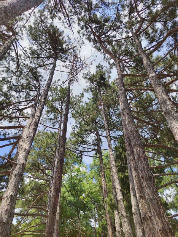 ������� ����, ������!. � ����������� ��� �������