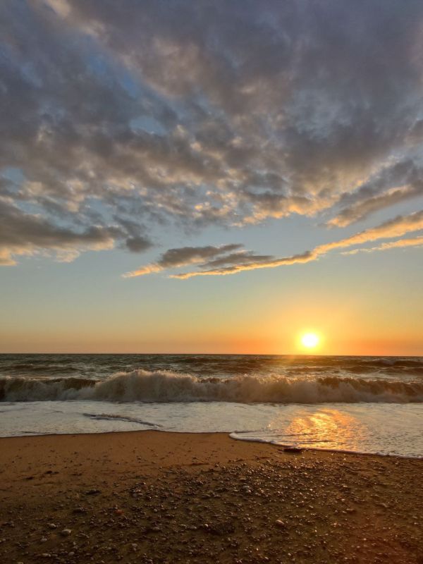 #�����������������. ����: ������� ��������� �� ���-������������