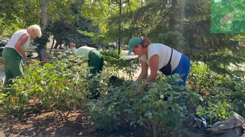 ������ � ������� ��������, ��� ��������� �� �������� ���������� ������� ��������������