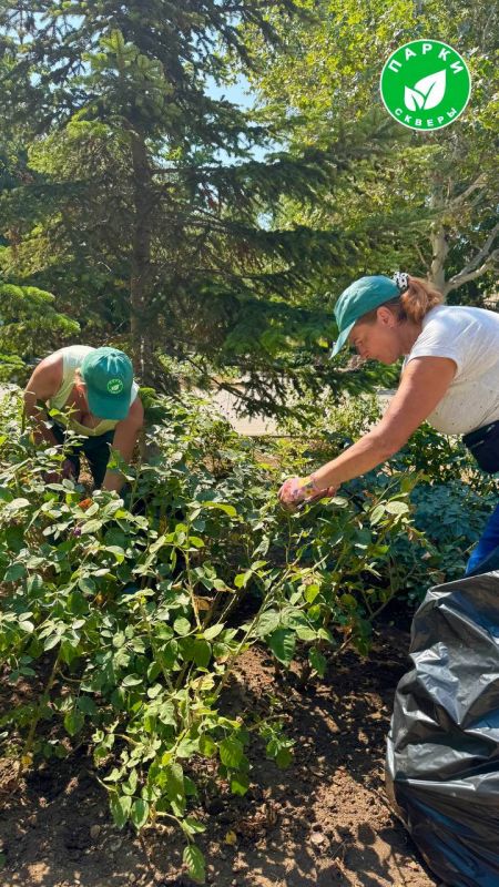 ������ � ������� ��������, ��� ��������� �� �������� ���������� ������� ��������������