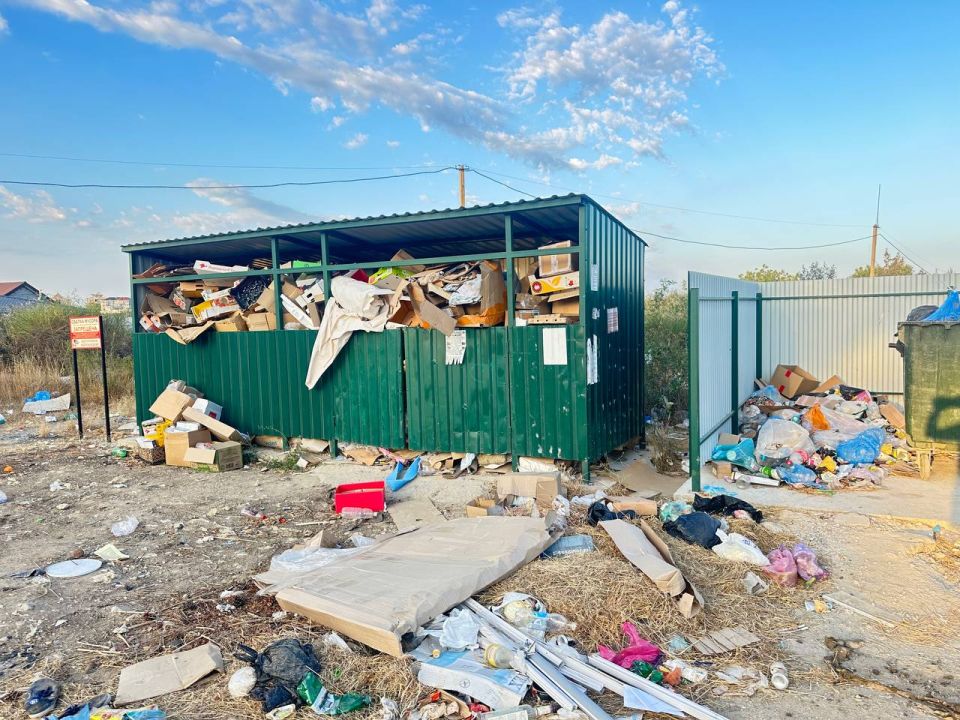 #���_�����. ������������ �����, 116�