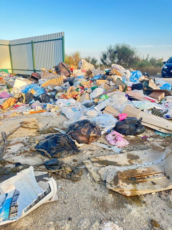 #���_�����. ������������ �����, 116�