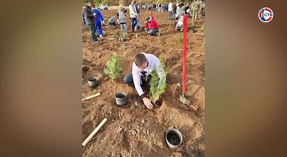 ������� �����������: ����� ����� ��������� � ������ ���������� � ���������� ����������� ����� ���������������