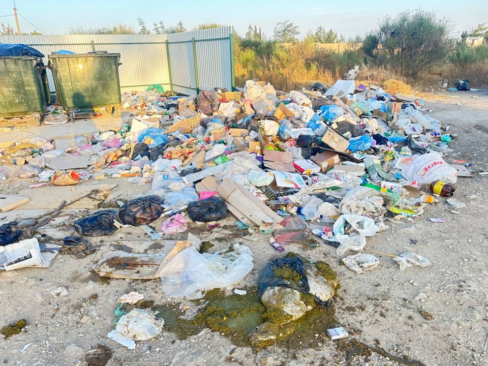 #���_�����. ������������ �����, 116�