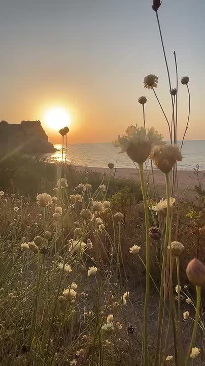 ������� ��������� ������ ��� �� ����� ���