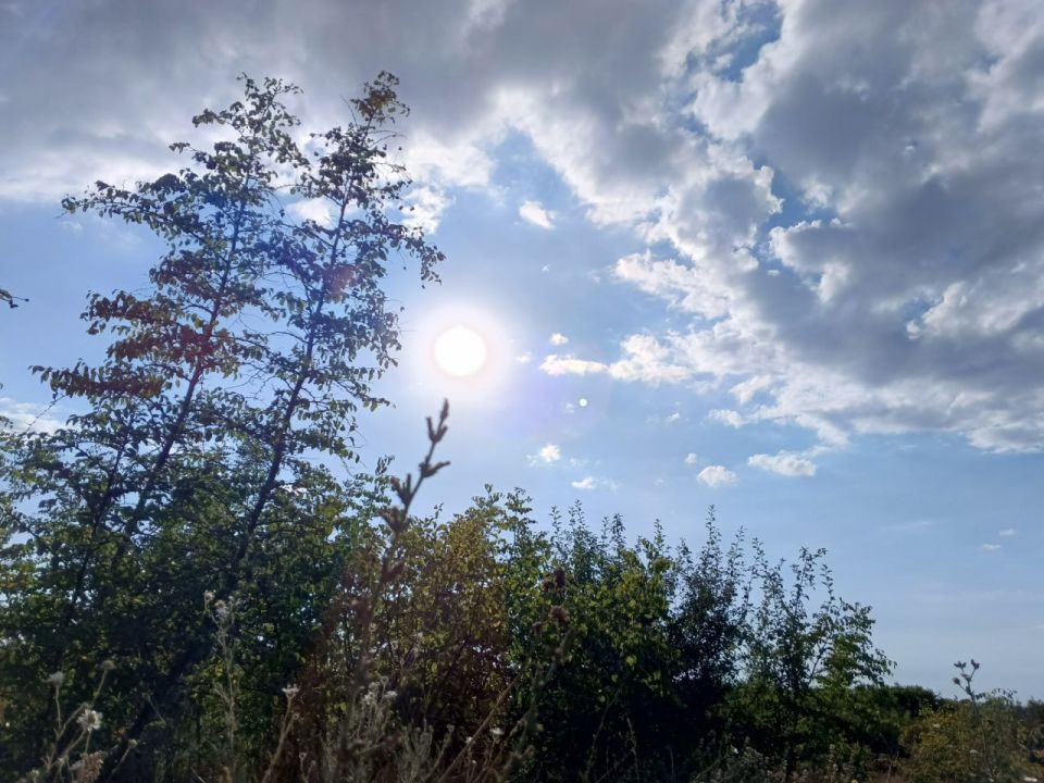 ������� ������ � ����� �� 2 �������