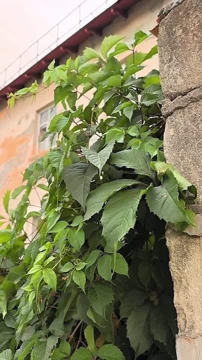 ������� ������ � ����������� ����� ���������� �����, � ������� ������� ��������� ������� ������ � ������������