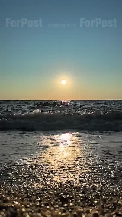 ���� ���� �������� ��������� � ������ �������