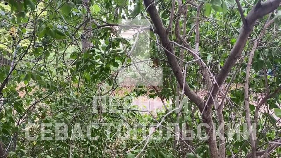 ����� ����� 40-��������� ���� � ����������� ������ �������� � ������������ ����� ���� �� ��������� ������