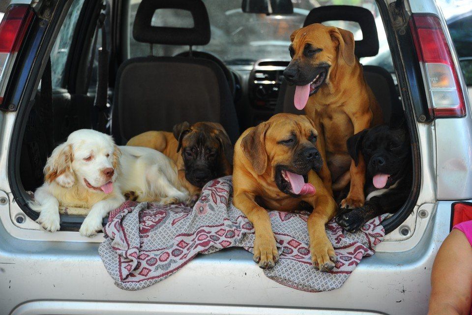 ����������� �������, ����� � ����������� � ����� �� �������: ��� ������ �������� � ����