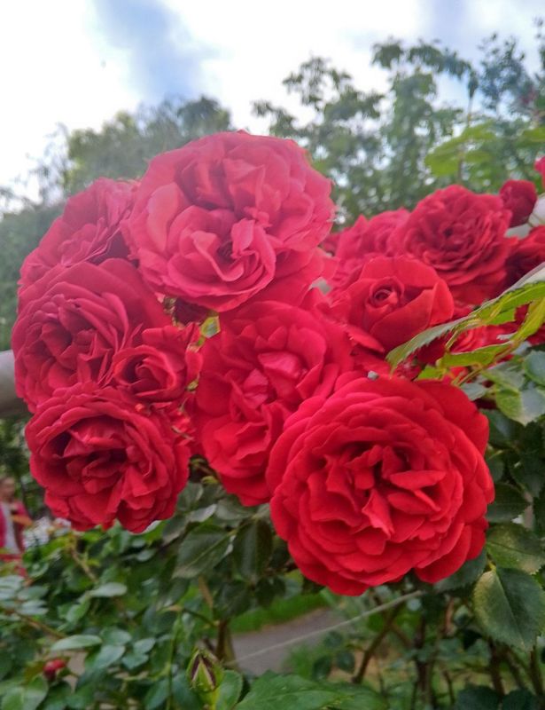 � ������ �����, �����������!