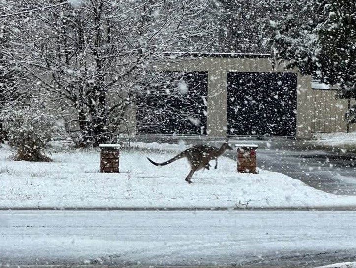 ��������� �������� ������ ���������