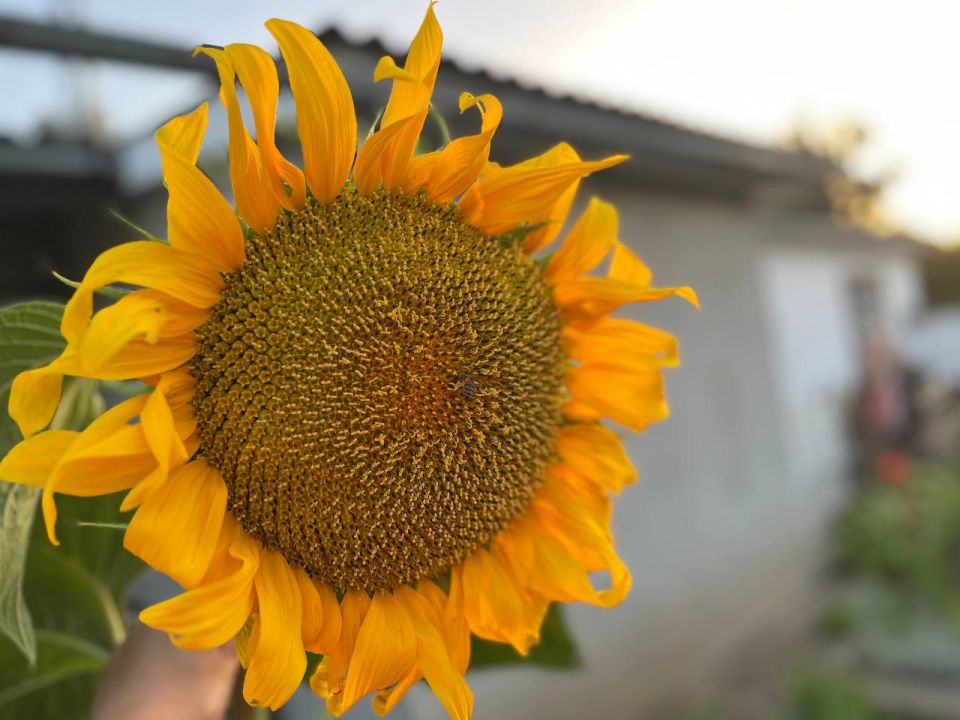 ������� ����������� ����!. � ����������� ��� �������, ���� ������� ��������������� �����