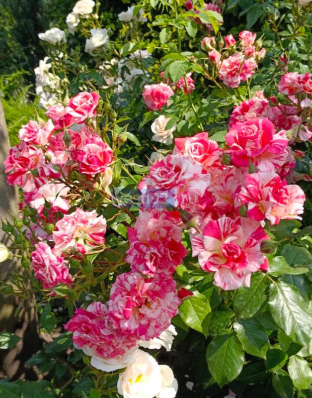 С добрым утром, Севастополь!