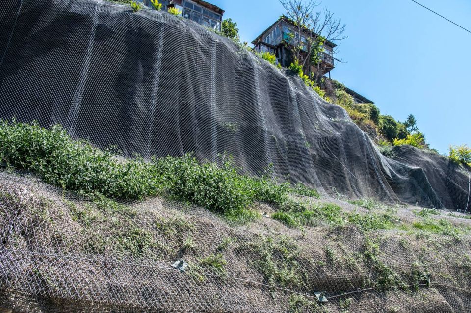 ������������� ����������� ������� �� ������ ����������� �������� ������ �����