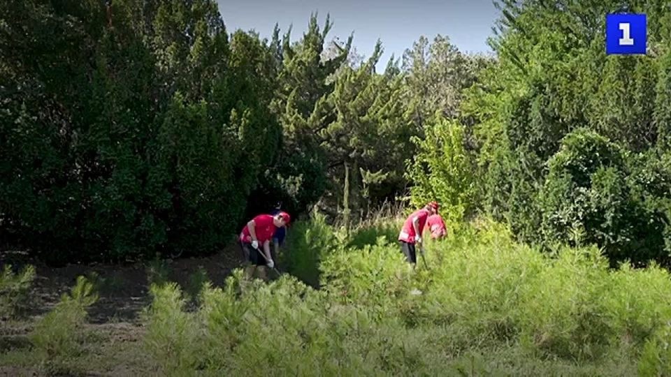 Создать агроклассы во всех сельских школах Севастополя поручил губернатор Михаил Развожаев