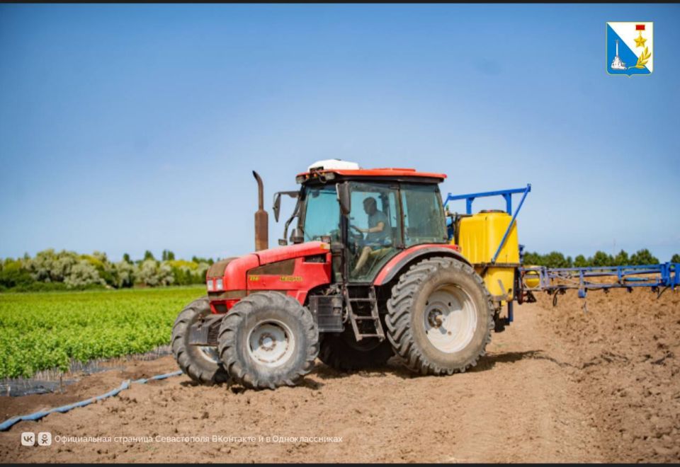 Помогаем ветеранам СВО. В Севастополе реализуется программа социальной адаптации и трудоустройства ветеранов СВО