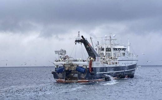 Росрыболовство упрощает выдачу разрешений на вылов рыбы