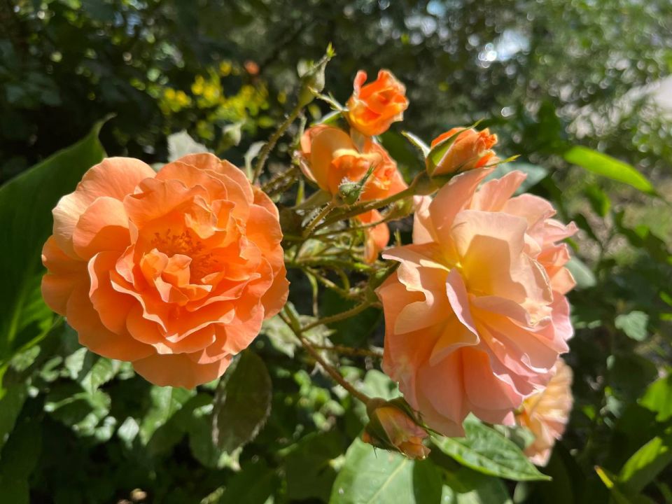 Всем доброго начала недели!