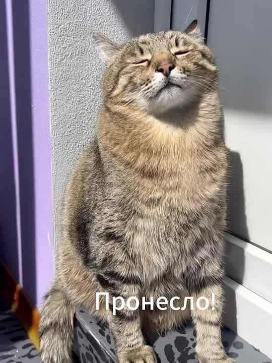 Прогноз магнитных бурь на неделю с 4 по 10 августа