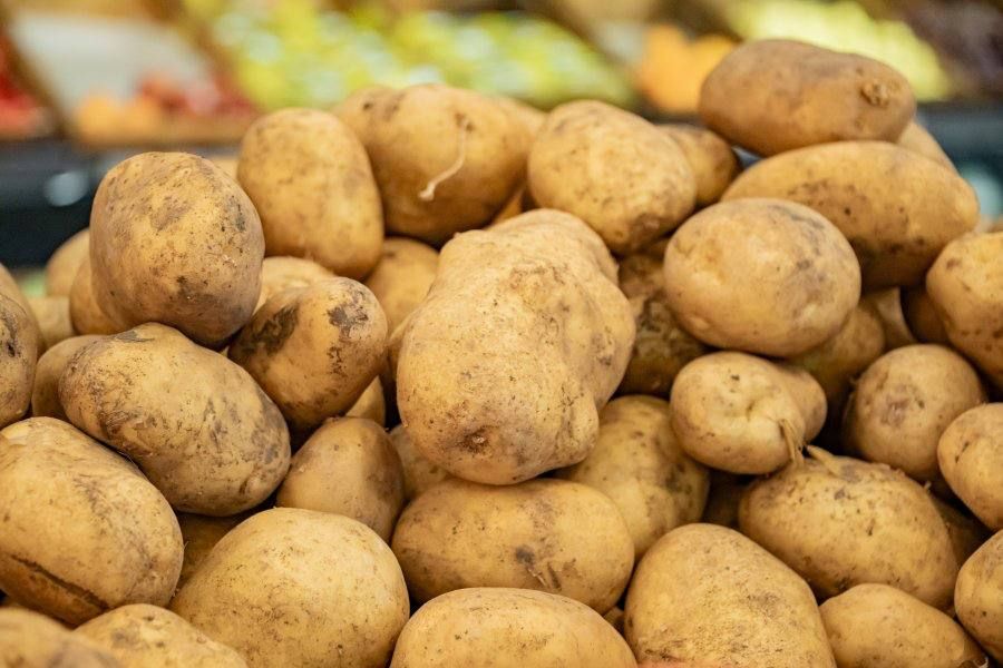 �� ������ � ����������� ���������� ������ ��������, ���������, ��� � ������