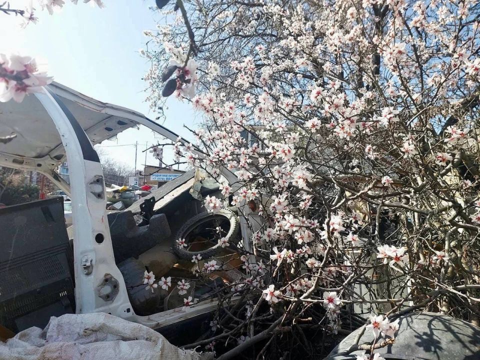 Ученица севастопольской билингвальной гимназии Мария Сомова стала лауреатом V премии Росприроднадзора «Экология – дело каждого» Ученица севастопольской билингвальной гимназии Мария Сомова стала лауреатом V премии Росприроднадзора «Экология – дело каждого»