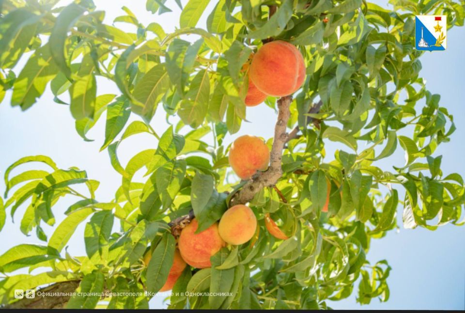 Укрепляем агропромышленный потенциал