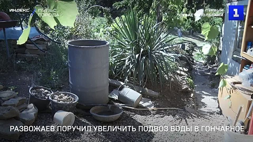 ������ ���� � ��������� � ��������� �������� � � ��� ������ ����� ��������� ����� ��� � ������