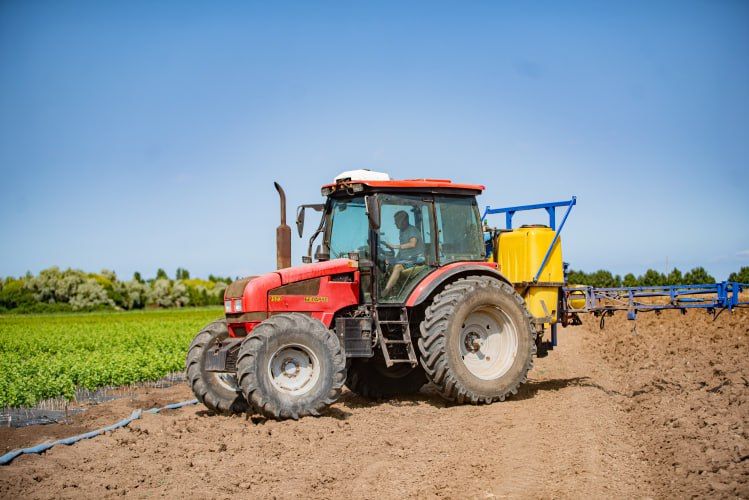 Севастопольские ветераны СВО осваивают аграрное дело