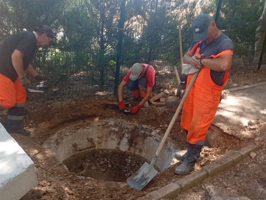 ���������: ������� �������. ������ ���� ���������� ��������