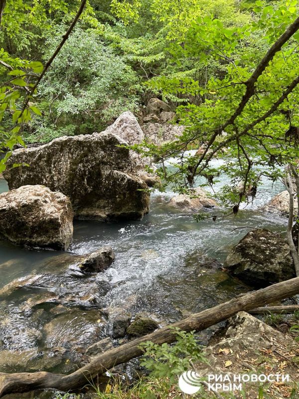 �������������� �������������� ������ ��� ������������