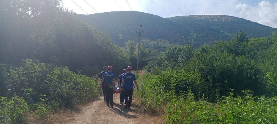 ����������� ������������ ������ ����������� ��������� ������������ ������� � ������� ��������������� �����