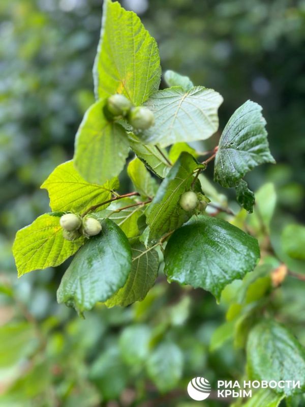 �������������� �������������� ������ ��� ������������