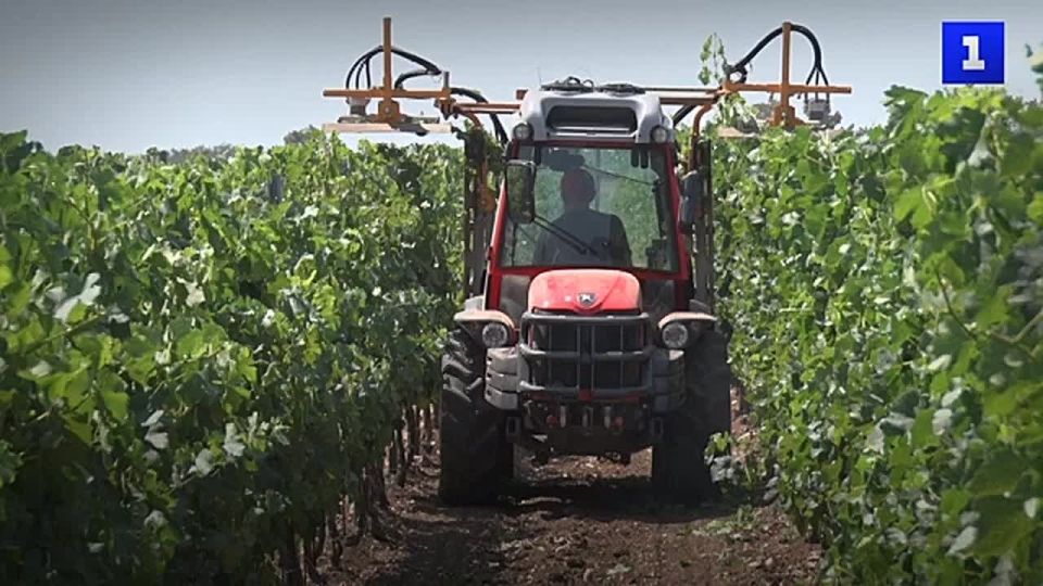 � 2025 ���� ������� ��������� ������� 28 ���