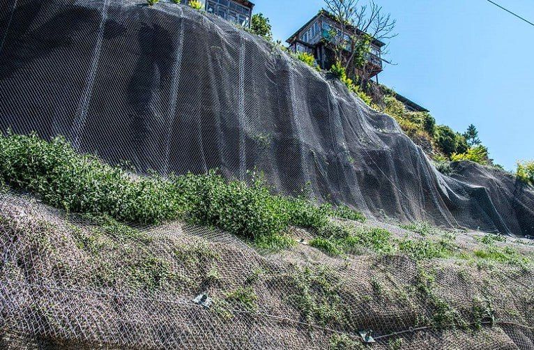 ������� ����� �� ��. ������ ����������� ������� � �������� 2025 ����