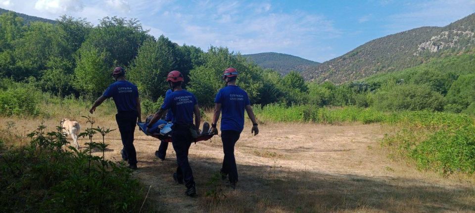 ����������� ������������ ������ ����������� ��������� ������������ ������� � ������� ��������������� �����