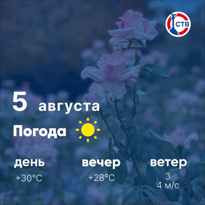 Доброе утро, севастопольцы! Сегодня ожидается солнечная погода