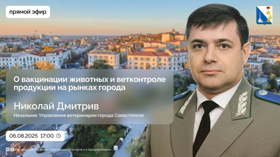 Где привить питомца? Какие услуги можно получить в госветклинике? Как обеспечивается безопасность товаров на рынках?