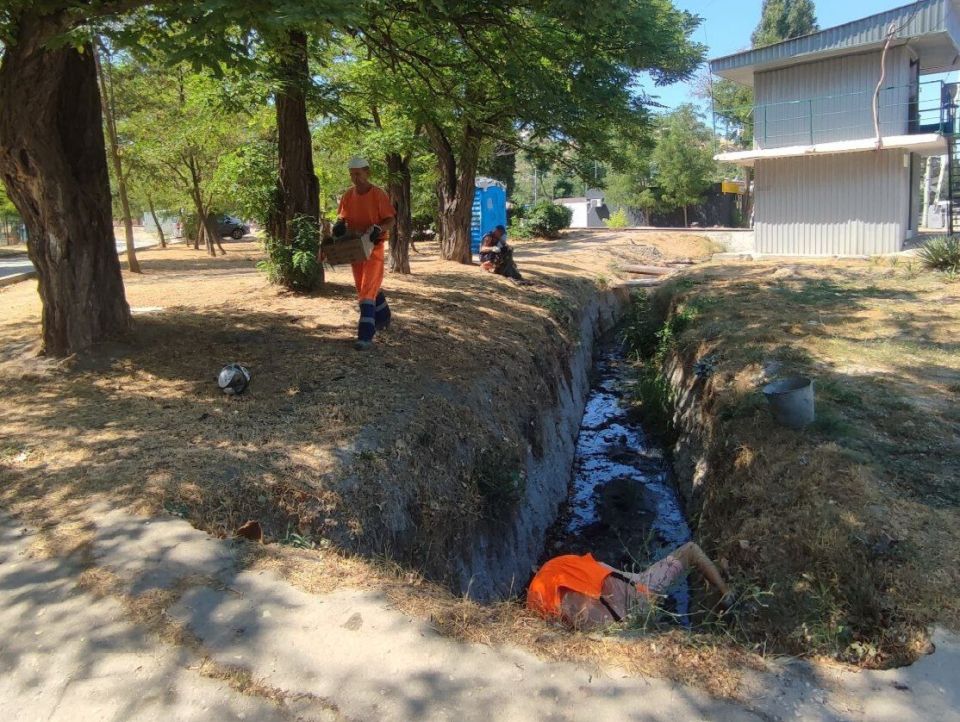 ���������: ������� �������. ������ ���� ���������� ��������