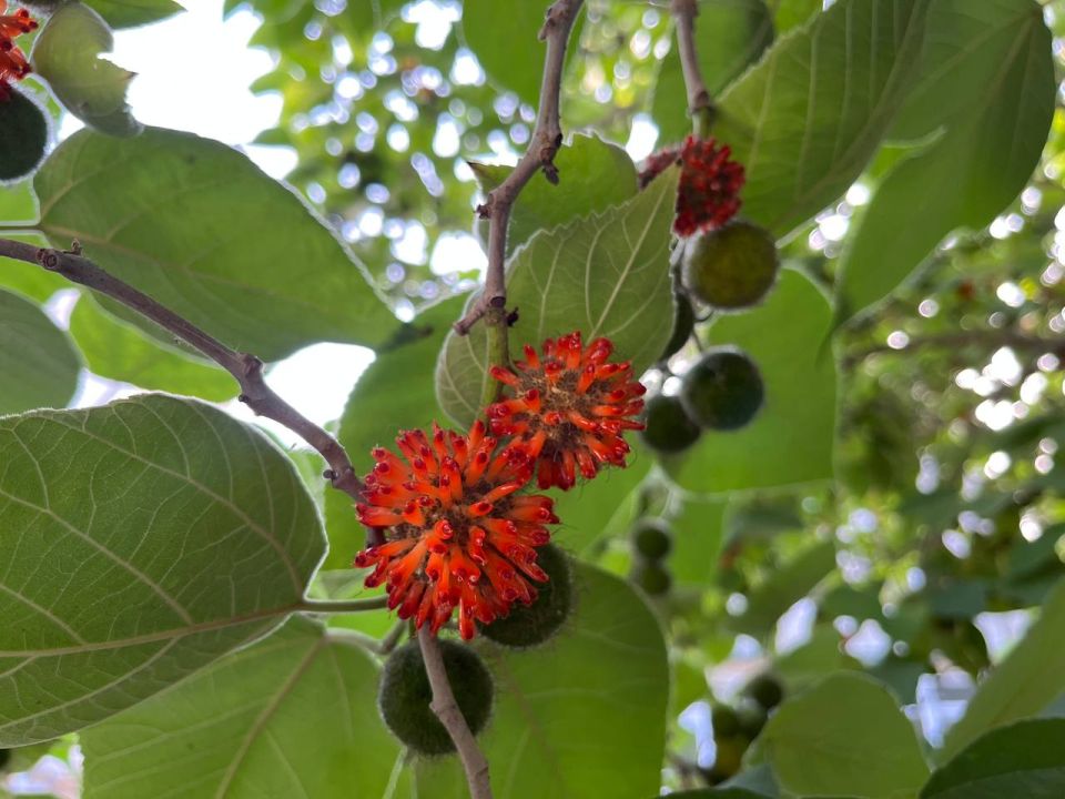 #  ?.    &quot; &quot;          ,       