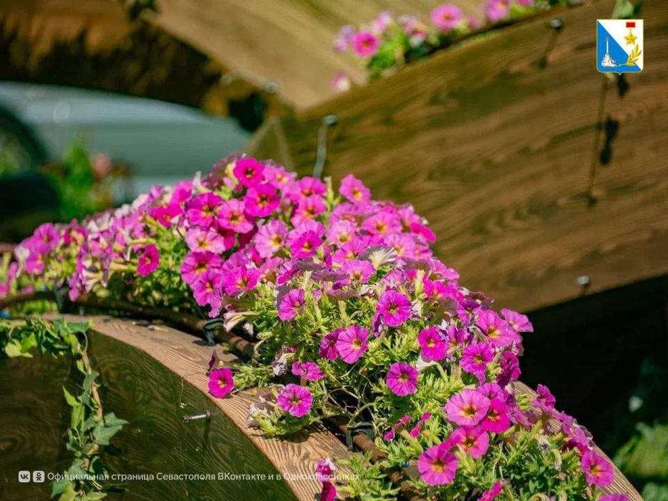 ��������� �� ��������. ����������� ������� � ������� �� ������� ���������� �������� � ������� ����� ��������, �������� ��������� ���� � �������, ������� ������� � ������ �����