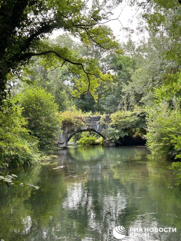 ����������� ����-������� � ���� ���������� ��� ������������