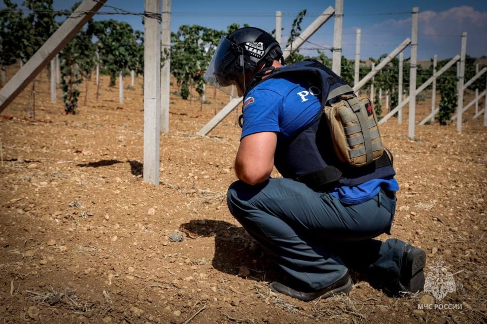 ��������������� ����������� ���������� ������������� ������� � ����� ���������� ������������