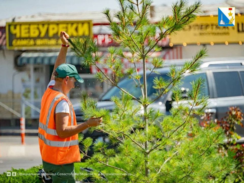 ��������� �� ��������. ����������� ������� � ������� �� ������� ���������� �������� � ������� ����� ��������, �������� ��������� ���� � �������, ������� ������� � ������ �����