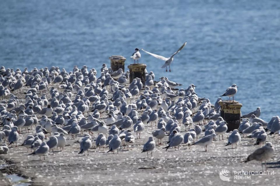 Прогноз погоды в Крыму на среду
