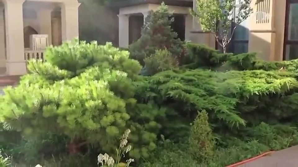 ��� �������� ���������� ����� � �������� ����������������� �� �������� �������