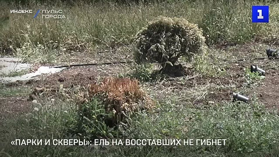 ��� �� ������� ���������� �� ������, � �������� ����������� � ������ � �������