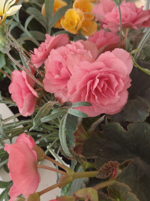 ���� ������� ����!. � ����������� ����� �������� 5-10�/�