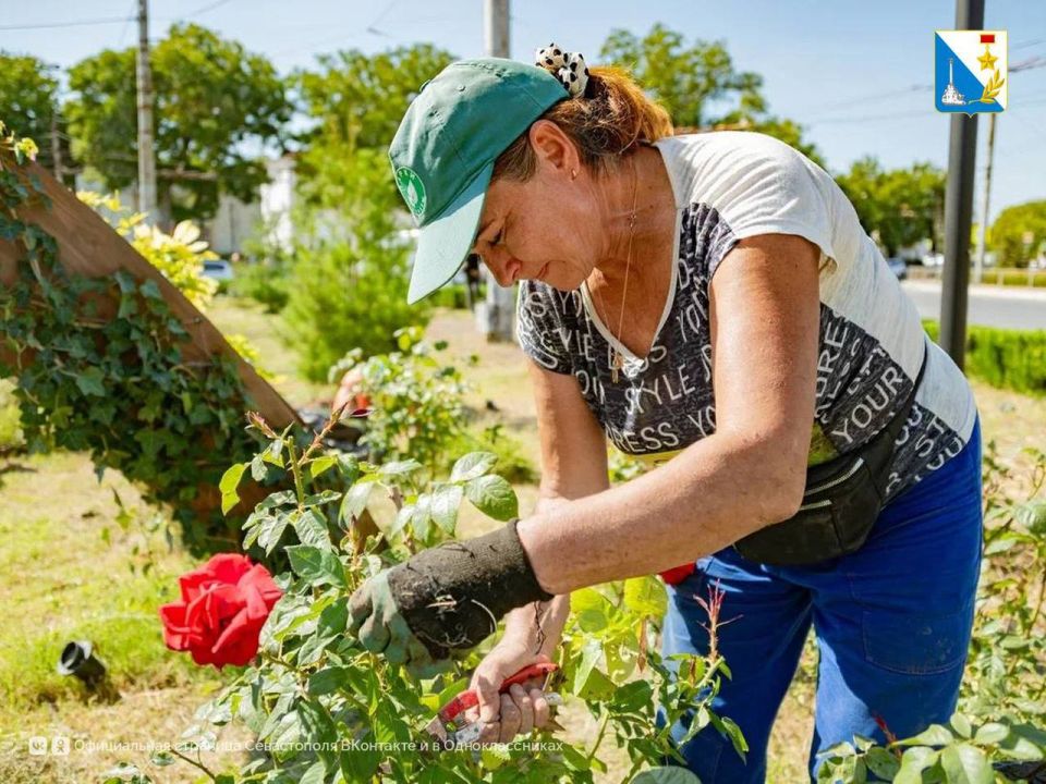 ��������� �� ��������. ����������� ������� � ������� �� ������� ���������� �������� � ������� ����� ��������, �������� ��������� ���� � �������, ������� ������� � ������ �����