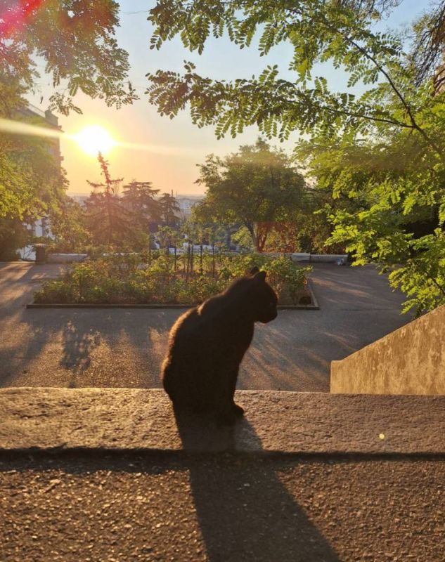 � ������ �����, �����������!